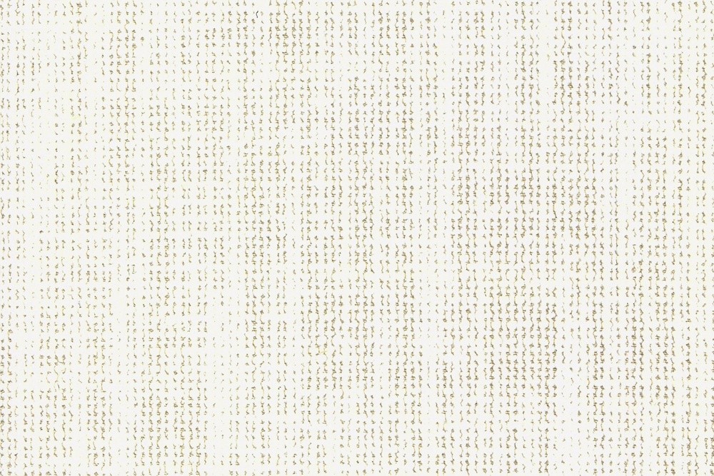 VL-24976-01
