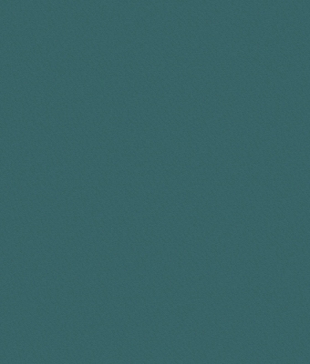 R707- (17)