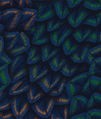 G8809-07