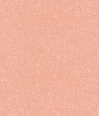 H1001-21