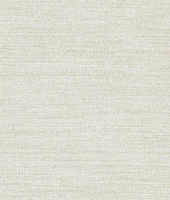 H1006-02