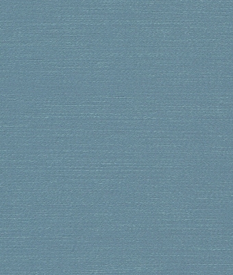 H1006-10