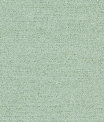 H1006-07