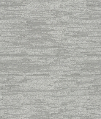 H1005-02