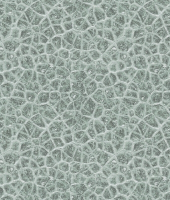 G1705-16