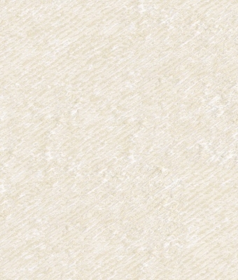 W6829-01